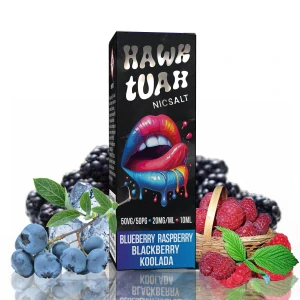 10 ml Hawk Tuah Salt - Blueberry Raspberry Blackberry Koolada 20 mg/ml