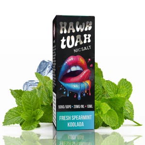 10 ml Hawk Tuah Salt - Fresh Spearmint Koolada 20 mg/ml